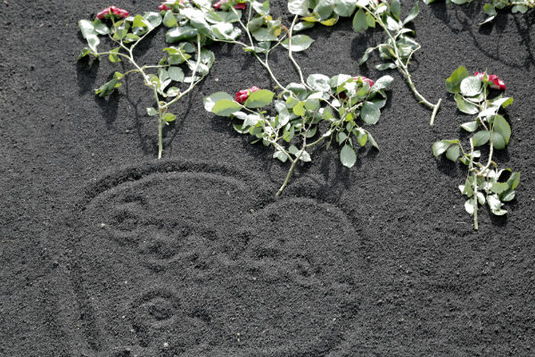 Manana Zubiashvili's grave